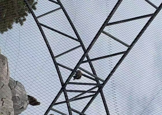 SS316 2.2mm Stainless Steel Wire Rope Mesh Net For Aviary And Balcony netting