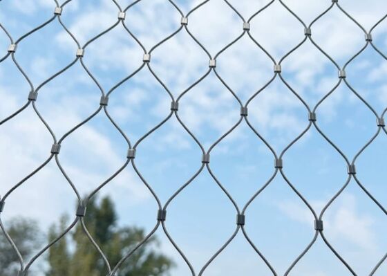 Landscape Integrated Zoo Mesh Attractive Appearance While Ensuring Animal Safety