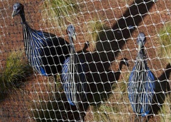 SS316 3.2mm Anti Rust Stainless Steel Cable Mesh  For Zoo Animal Enclosure