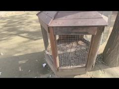 A Closer Look: Balustrade Cable Mesh 1.6mm Stainless Steel Rope Mesh for Bridges Buildings Zoos