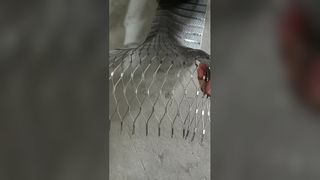 Lưới thép không gỉ bền bỉ Tuổi thọ 25 năm