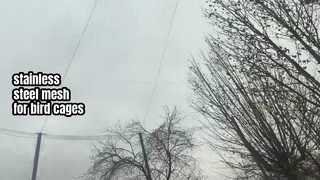 Roestvrij staal gaas voor vogelkooien