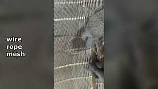 RVS touwgaas voor volièregaas